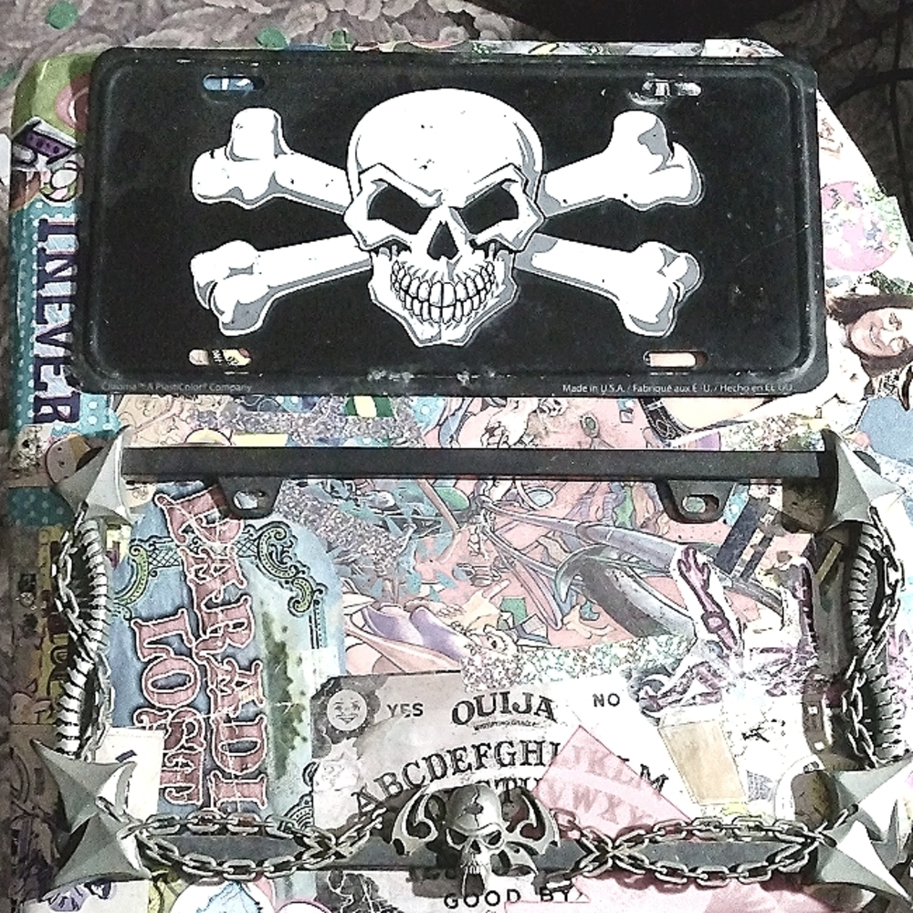 Style License Plate and Frame Skull